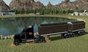 Lizard Truckin 379