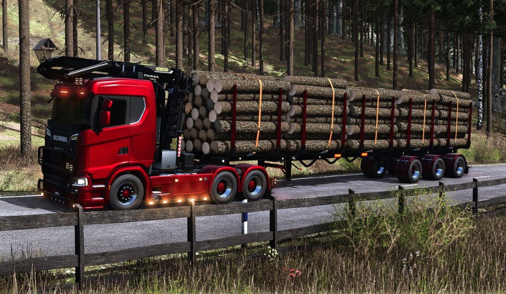 Timber Runner