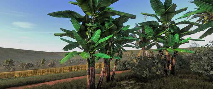 Bananenbaum Mod Image