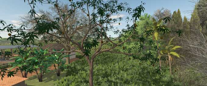 Mango Tree Mod Image