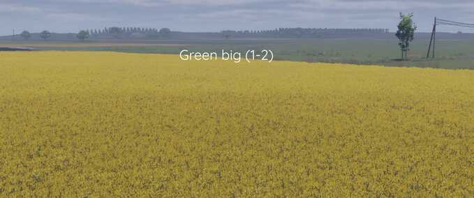 Verbesserte Raps-Textur Mod Image