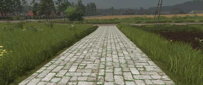 Decoration Asphalt and Paved Roads Farming Simulator mod