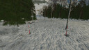 Schwedische Schneestange