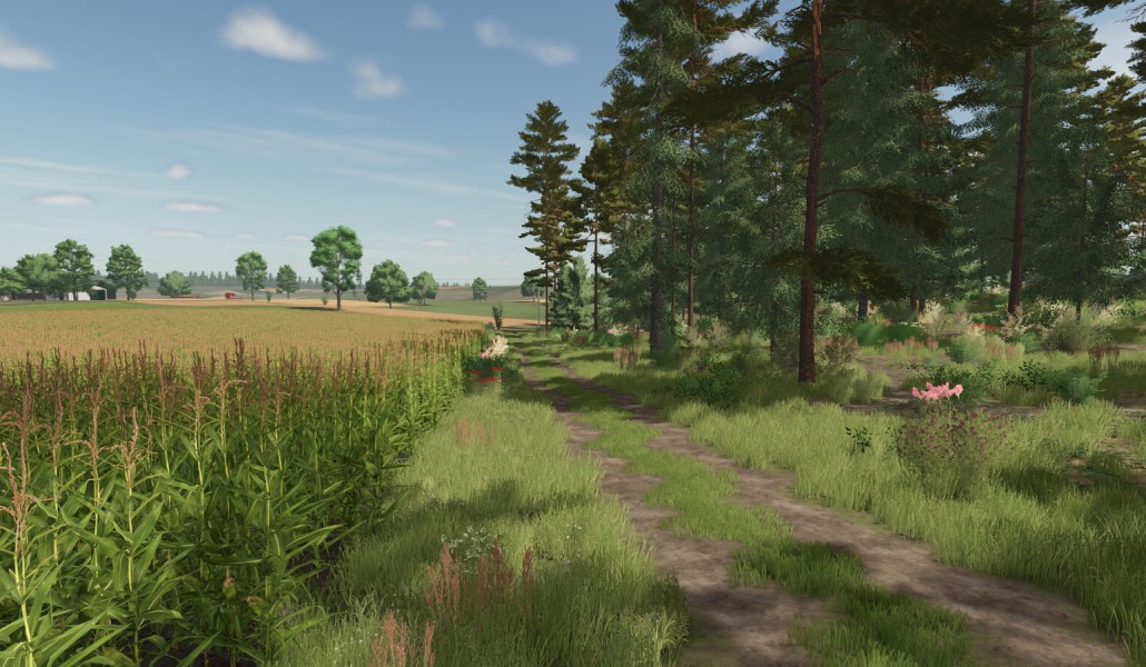 Cybuchowo - Thumbnail 1
