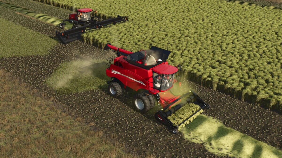 Swathing Plus - Thumbnail 1