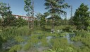 Sonnenwald