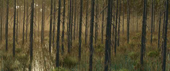 Maps Umbreon Valley Farming Simulator mod