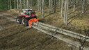 Lizard Forstwirtschaft D60