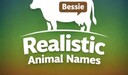 Realistische Tiernamen