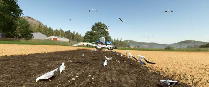 Feldmöwen Mod Image