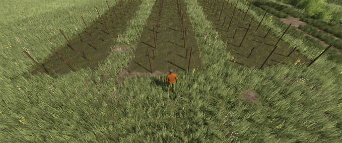 Maps Narrow Vines and Olives Farming Simulator mod