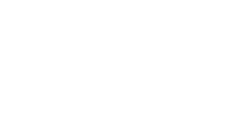 BSS NS2-29.21.20 - Thumbnail 1