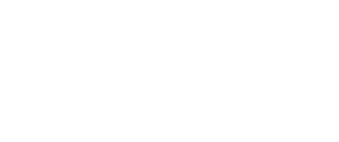 Auflieger BSS NS2-29.21.20 Landwirtschafts Simulator mod