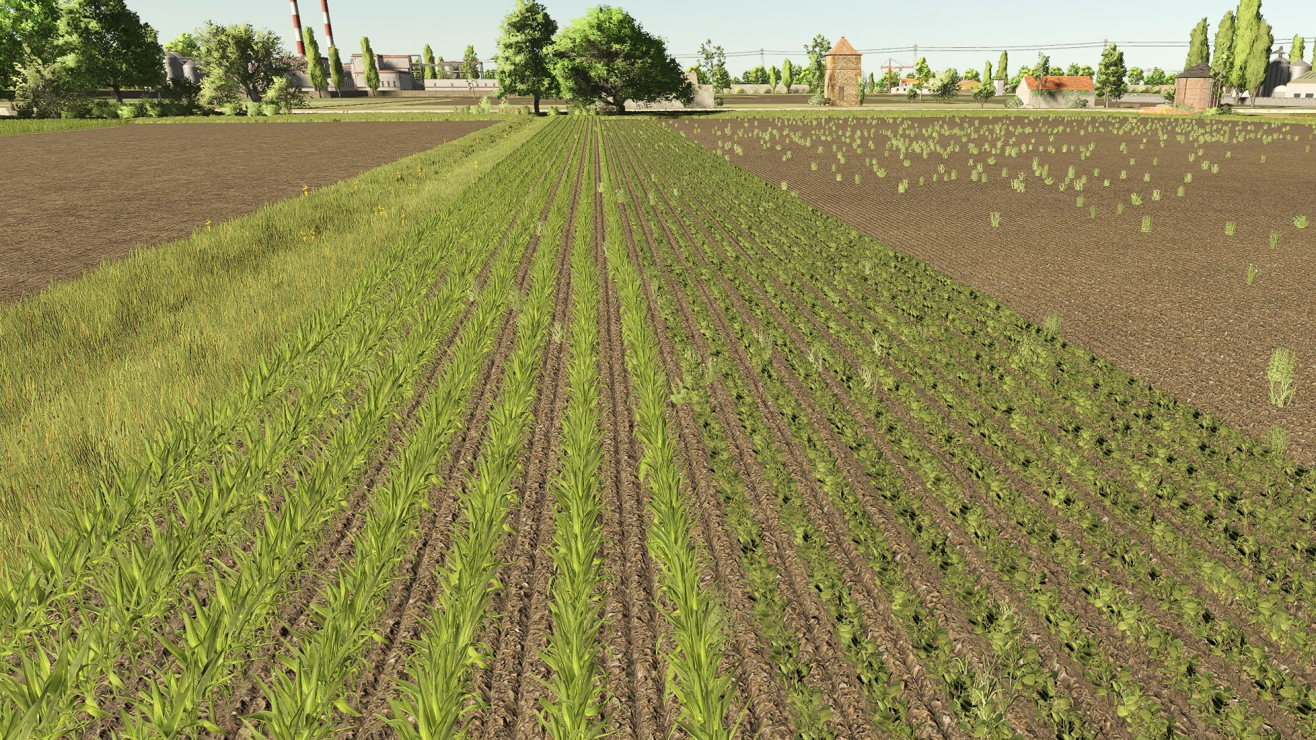 Polesine RCS - Thumbnail 1