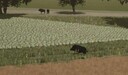 Mehr Wildtiere