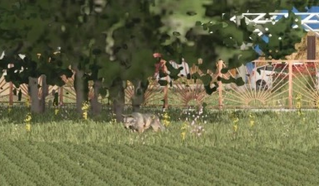 More Wild Animals - Thumbnail 1