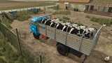 IFA W50 Animal Transport Mod Thumbnail