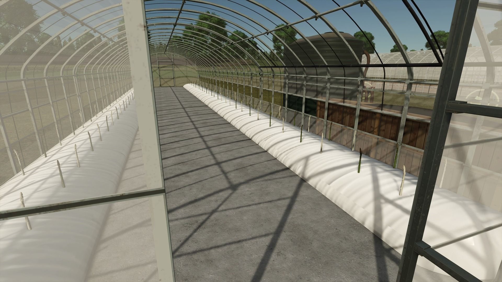 Greenhouse Pack – Variety Under Glass - Thumbnail 1
