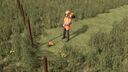 Stihl Weed Trimmer