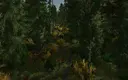 Back Roads County Forestry Edition 4x