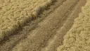 Straw Chopper Mod
