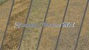 Spreading Manure Mod
