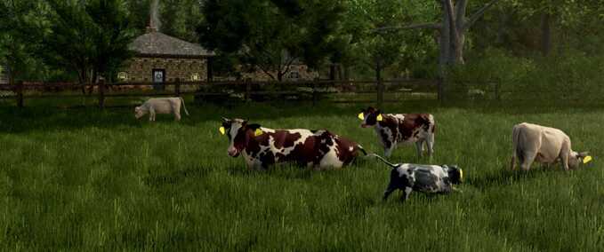 Tiere Rinderrassen Landwirtschafts Simulator mod