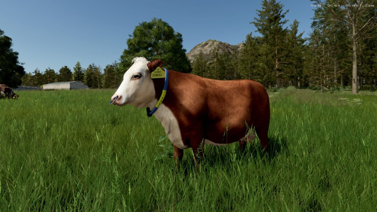 Cow Breeds - Thumbnail 1