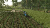 TerraFusion und Trauben-Oliven-Reben Mod Thumbnail