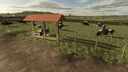 Small Pasture for Cows, Horses, and Sheep