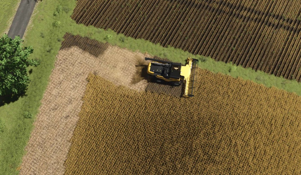 Soy Texture Enhancement - Thumbnail 1