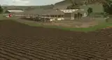 3704053