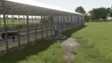 3704083
