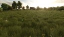 Growing Random Trees