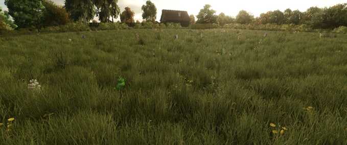 Gameplay Wachstum zufälliger Bäume Landwirtschafts Simulator mod