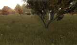 3705154