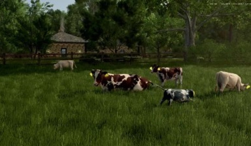 Cow Breeds - Thumbnail 1