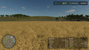 Field Detail Infos