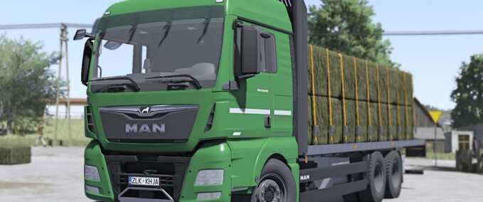 Trucks MAN TGX 26.640 Farming Simulator mod