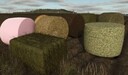 Bale Degradation