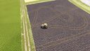 Persistent Tire Tracks