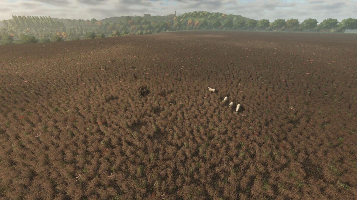 Animal Pests - Thumbnail 1