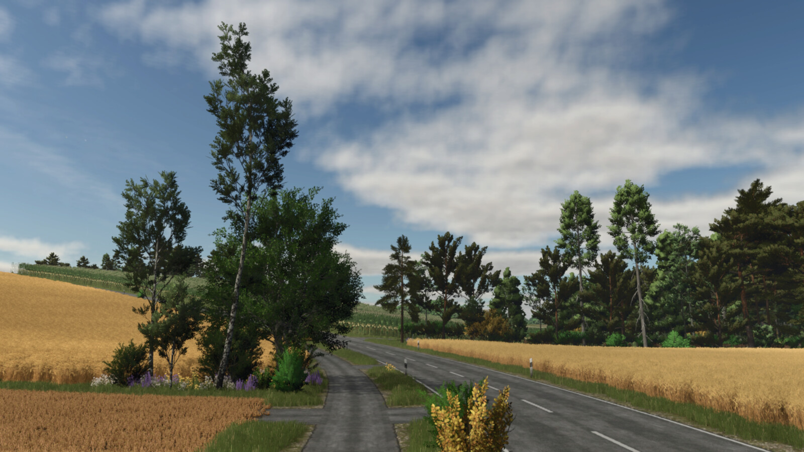Holzach - Thumbnail 1