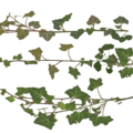 3709032