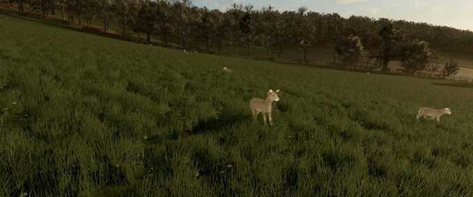 Scripts Animal Ground Placement Fix Farming Simulator mod