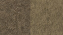 Custom Sown and Cultivated Texture