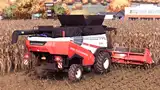 3710755