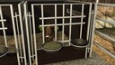 Calf Box