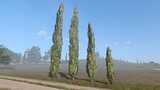 Zypressen Mod Thumbnail