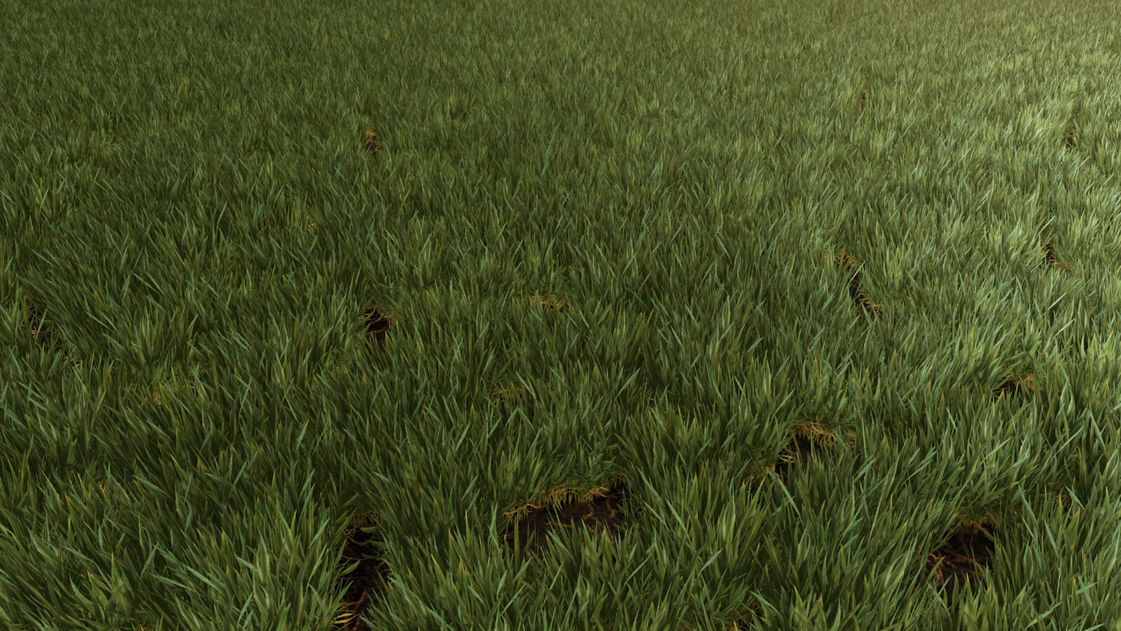 Weed Cleaner - Remove Dead Weeds - Thumbnail 1
